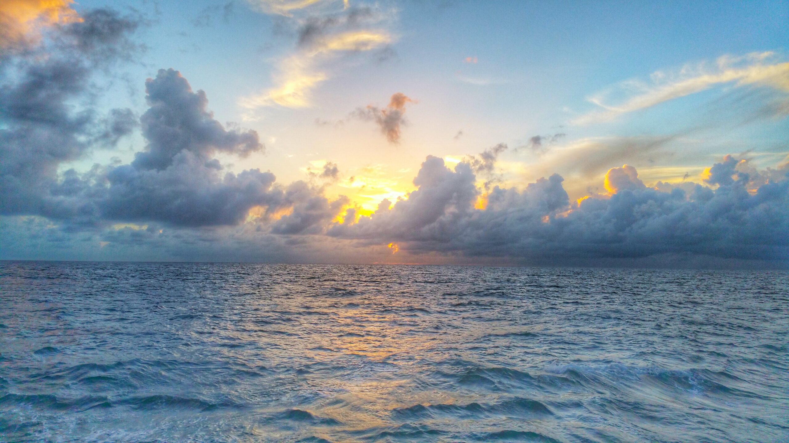 Photography by Ryan Ousley